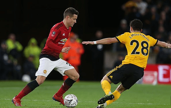 训的年轻球 训的年轻球